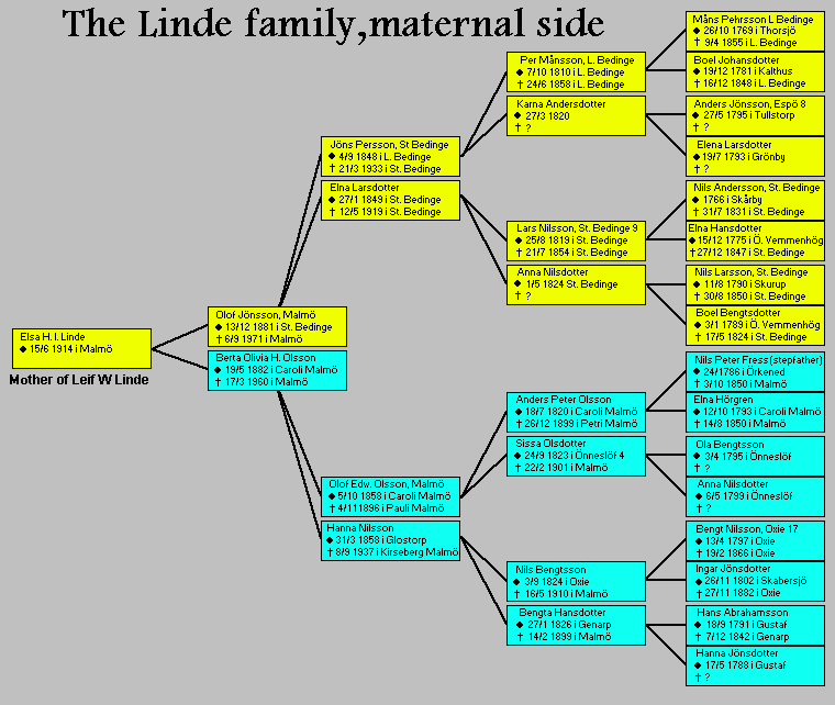The Linde family, maternal side
